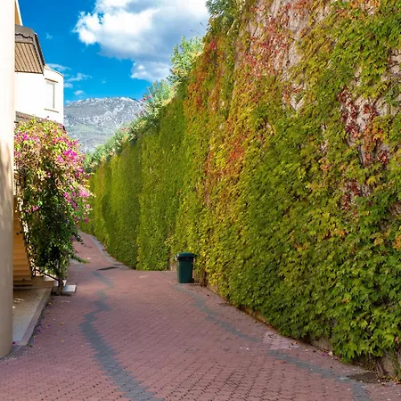 Goldcity 2 Bedroom With Free Aquapark Алания